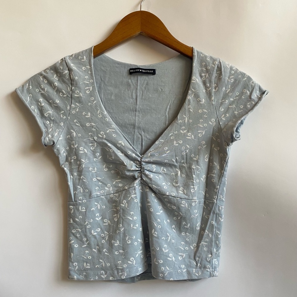 Brandy Melville Floral Crop Top